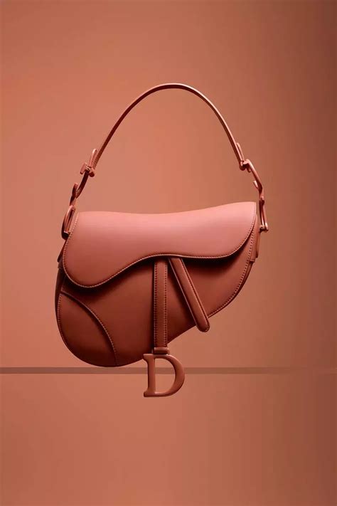 dior curve bag